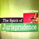 The Spirit of Jurisprudence